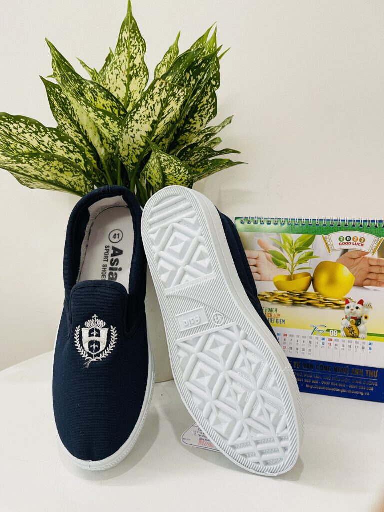 giay-vai-asia-cot-day