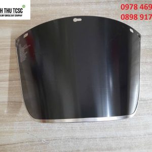 Kính bảo hộ Blue Eagle FC48G5
